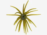 Hag's Prickly Pear Big Tex Baits - 25mm