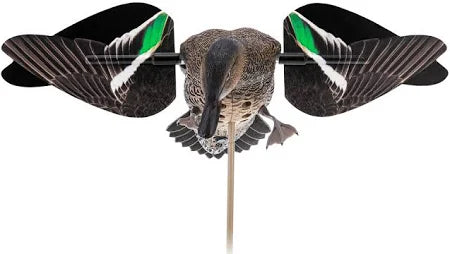 Avian X Hen Green-Winged Teal