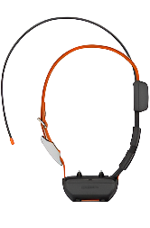 Garmin Alpha TT 25 Dog Collar