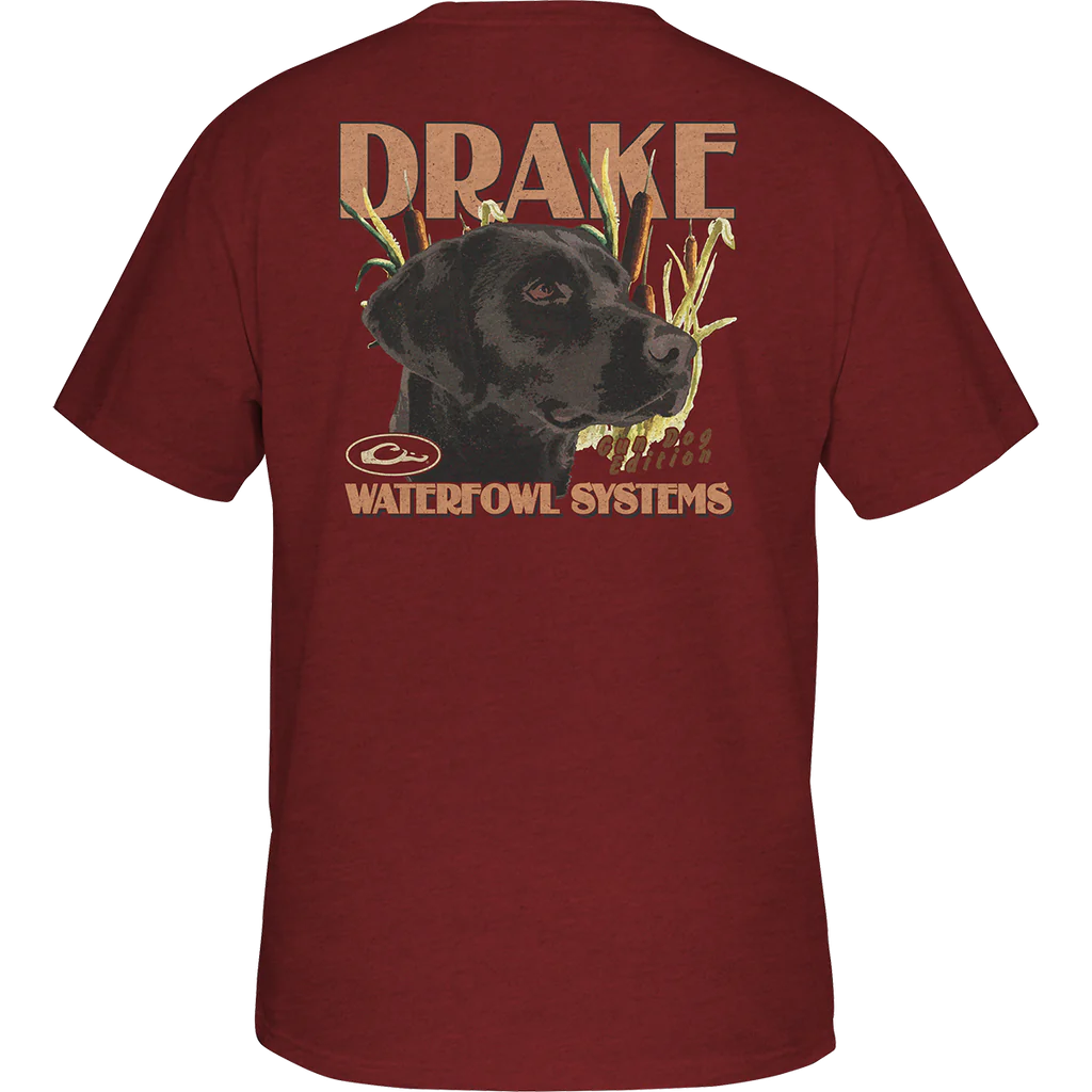 Drake Youth Marsh Lab T-Shirt - Barn Red Dark