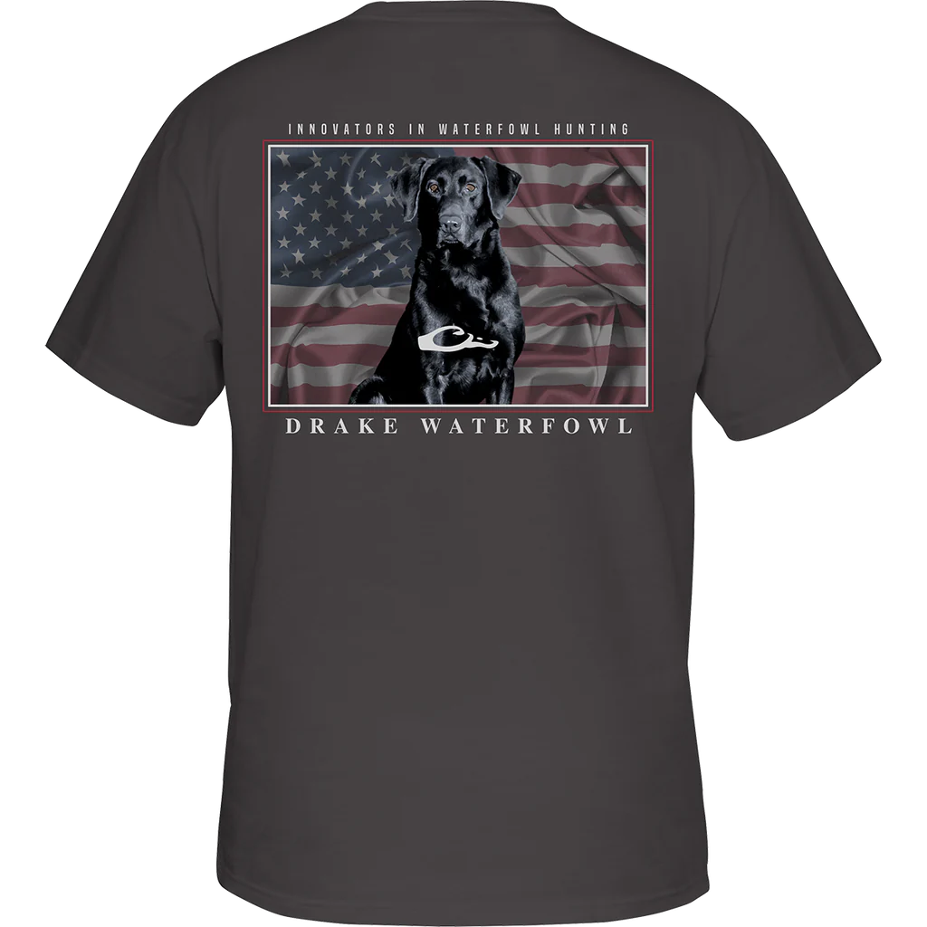 Drake American Lab T-Shirt - Grey