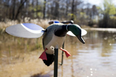 Baby MOJO Mallard® Spinning Wing Decoy (Drake/Hen)