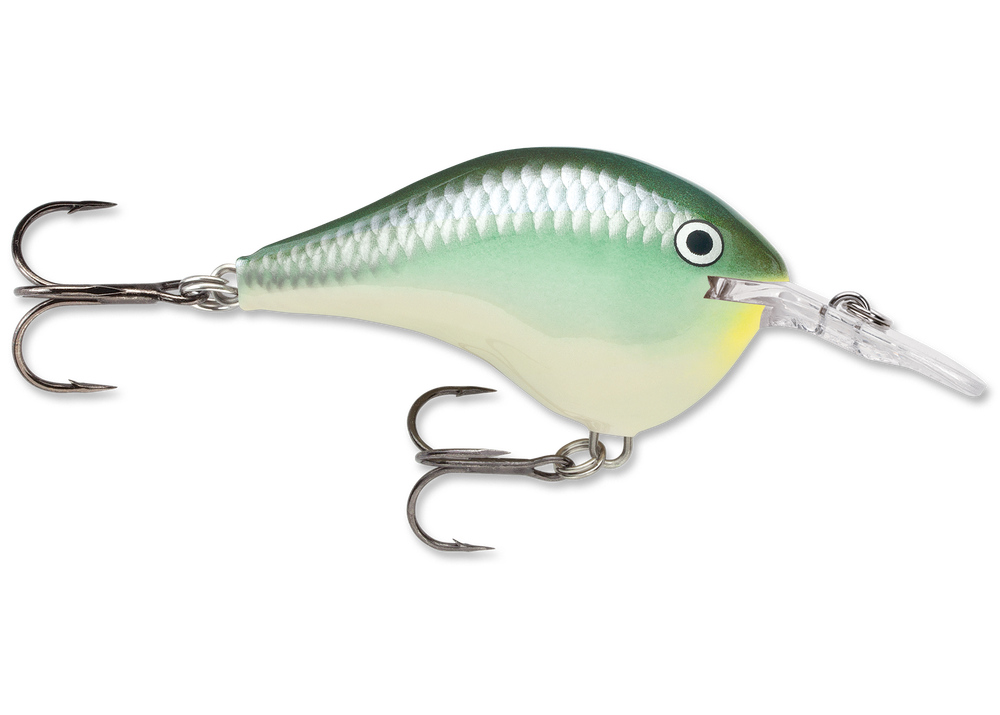Rapala DT06 Series Crankbaits