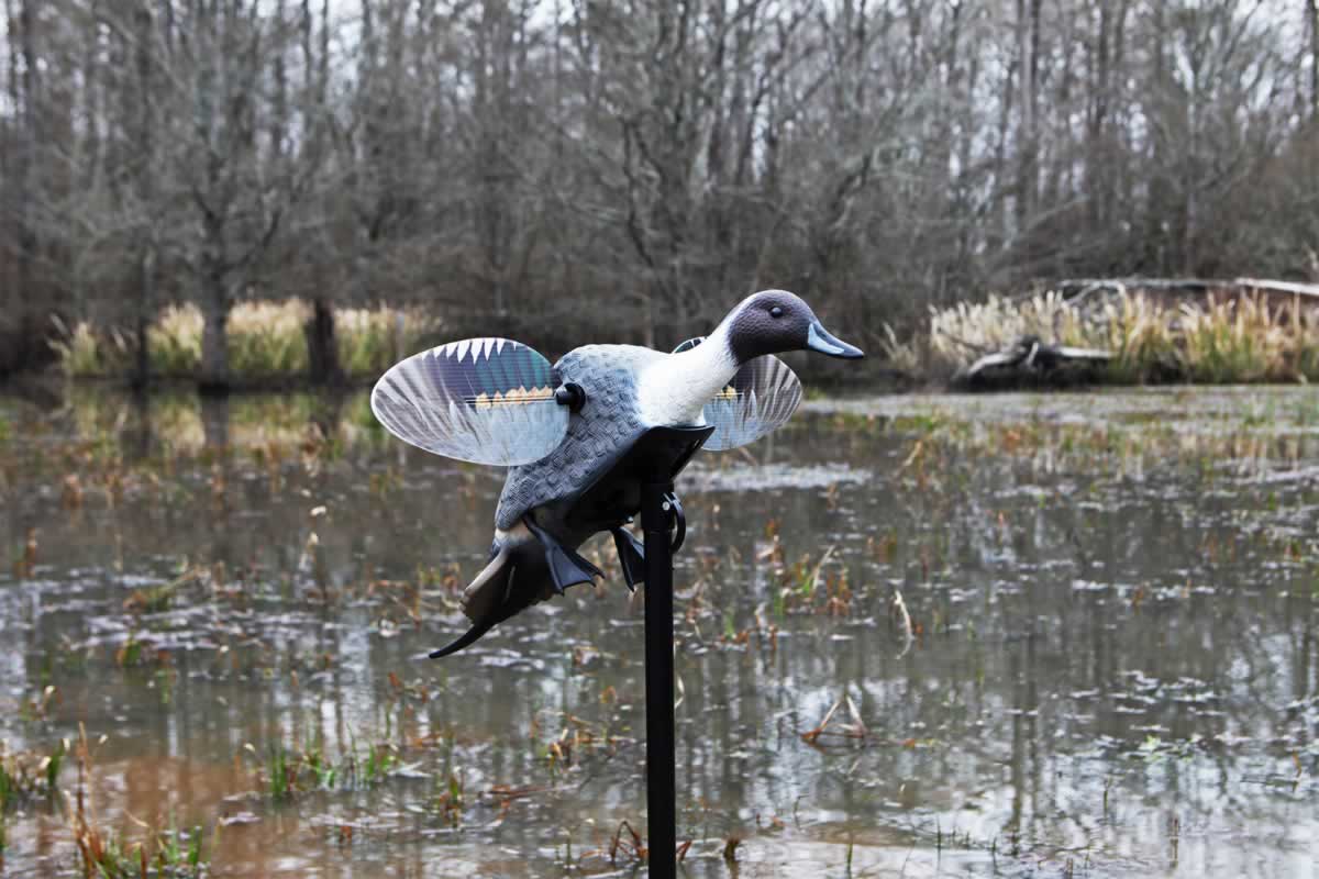 MOJO ELITE SERIES PINTAIL USB REMOTE COMPATIBLE