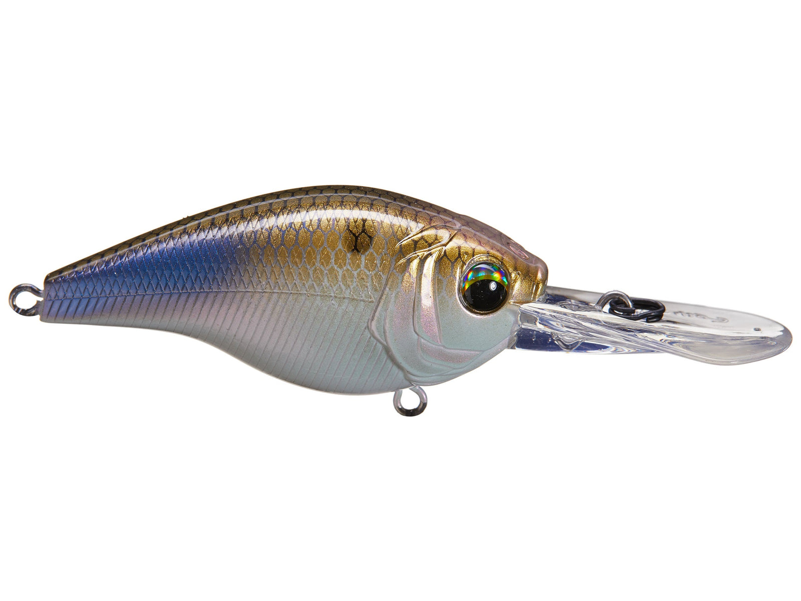 Tennesee Shad Holographic Lipless Crankbait Custom Bass Fishing