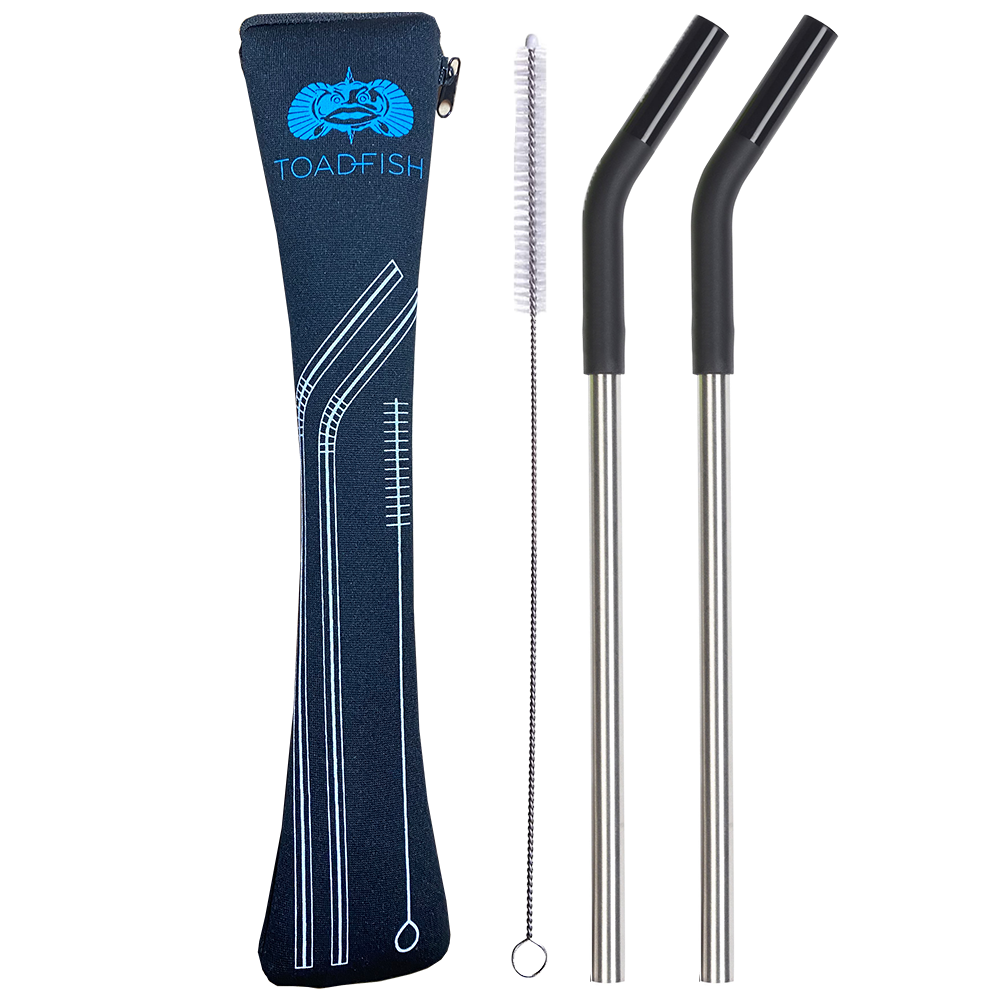 Toadfish 2 Pack Stainless Steel Straws w/ Case & Cleaner
